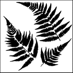 TCW243 Ferns